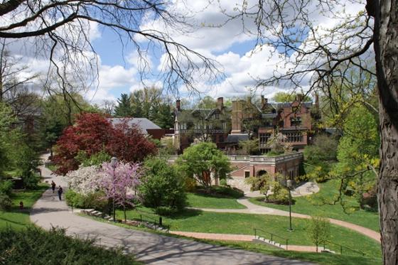 Redbrick academic buildings on Chatham University's Shadyside campus are framed by colorful budding trees and green grass. 