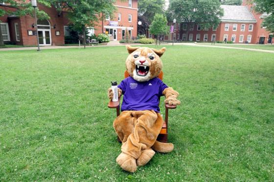 Photo of Chatham University mascot Carson the Cougar sitting on a chair on Shadyside Campus